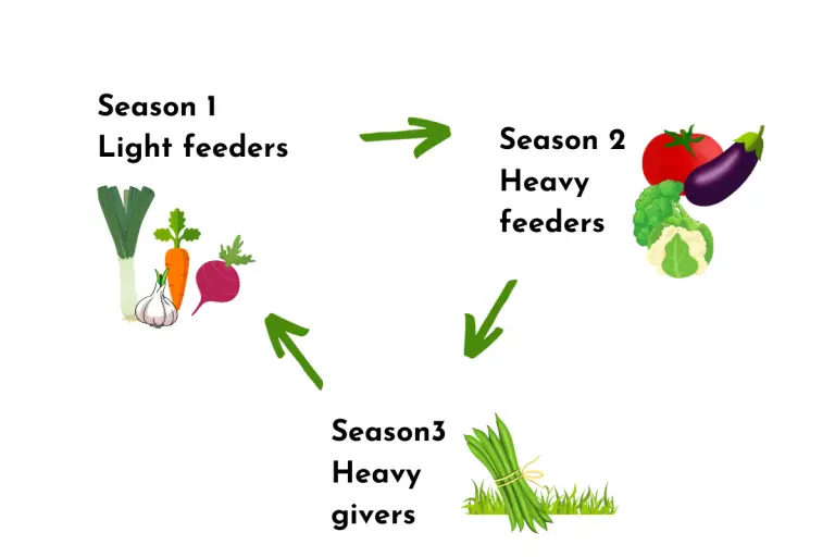 Crop Rotation – Getting the best from your plot