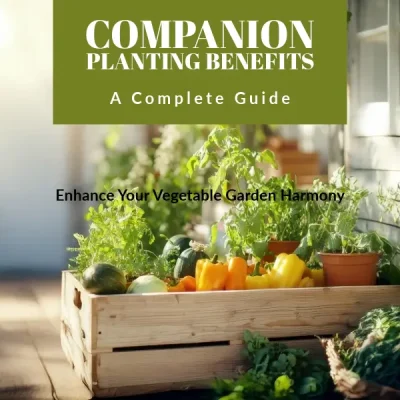 Companion Planting For Vegetables
