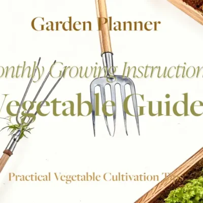 Monthly Jobs On The Plot